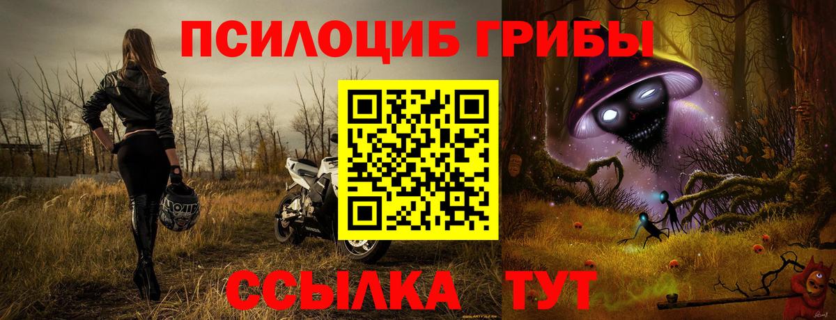 Галлюциногенные грибы GOLDEN TEACHER  Вход с VPN  Кировск 